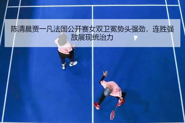 chen-qing-chen-jia-yi-fan-fa-guo-gong-kai-sai-nv-shuang-wei-mian-shi-tou-qiang-jing-lian-sheng-qiang-di-zhan-xian-tong-2-631.jpg